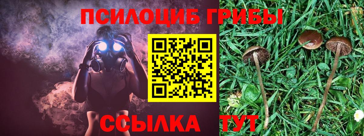 Барабинск  Галлюциногенные грибы мицелий  Вход с VPN 